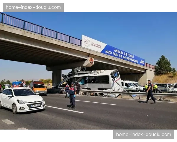 “荣耀与告别”：记录土耳其本土选手在UFC安卡拉赛的胜利之夜