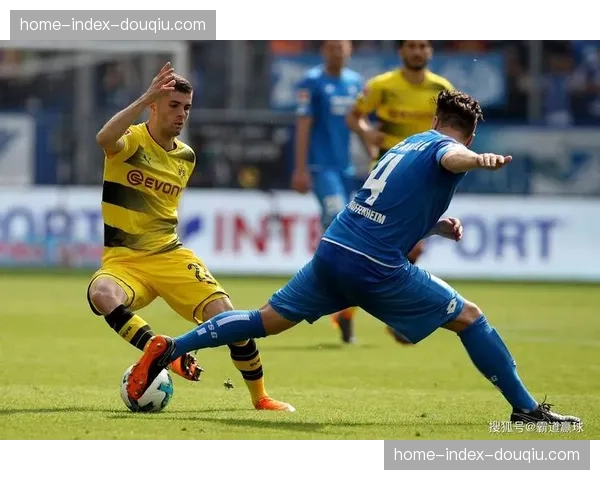 多特蒙德2-0击败霍芬海姆，落后榜首拜仁4分