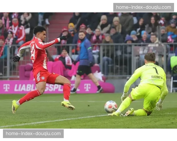 “足球回家”展览在慕尼黑开幕,展出德甲60年经典球衣与影像 “足球回家”展览在慕尼黑开幕,展出德甲60年经典球衣与影像